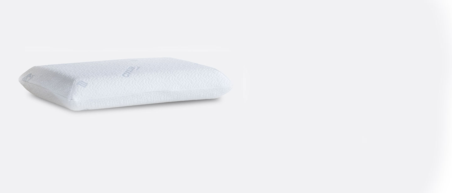 Visco pillow hot sale
